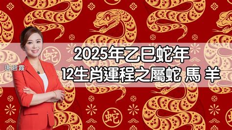 蛇年運程|蘇民峰2025生肖運程｜一文睇晒蛇年十二生肖整體運 